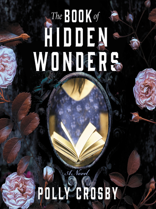 Cover image for The Book of Hidden Wonders